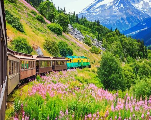 White Pass & Yukon Route Railway Alaska paint by number