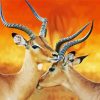 Wild Impalas paint by numbers