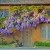 Wisteria paint by number