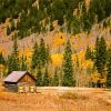 Wooden Cabin In Fall paint by numbers