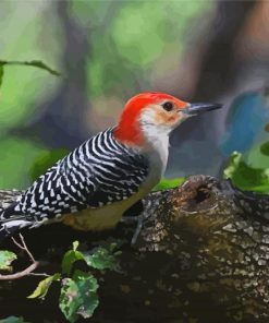 Woodpecker Bird paint by number