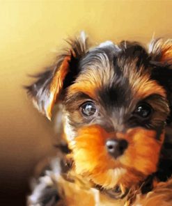 Yorkshire Terrier Dog paint by number