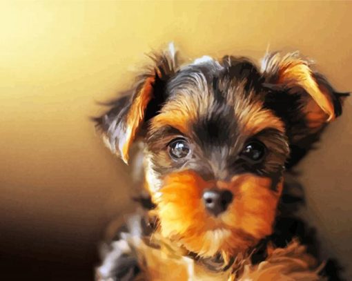 Yorkshire Terrier Dog paint by number