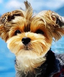 Yorkshire Terrier paint by number