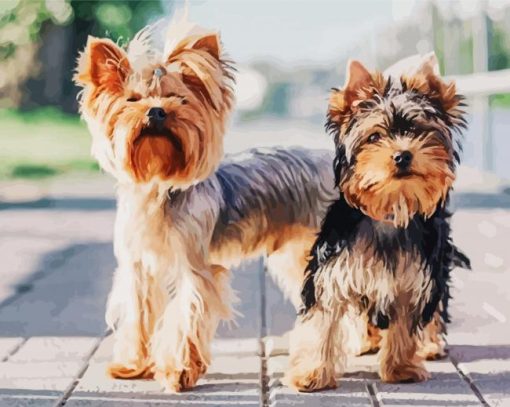 Yorkshire Terrier Puppies paint by number