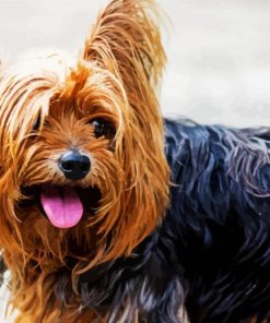 Yorkshire Terrier Puppy paint by number