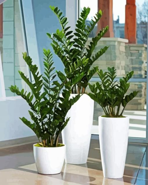 Zamioculcas Plants paint by numbers