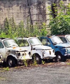 Abondoned Vintage Fiat Cars paint by numbers