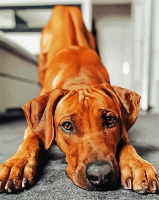 Adorable Ridgeback paint by number