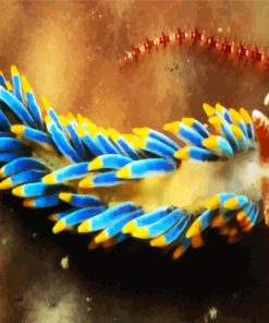 Aesthetic Nudibranch paint by number