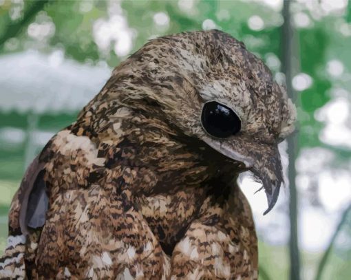 Aesthetic Potoo Bird paint by numbers