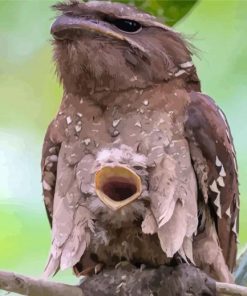 Aesthetic Potoo paint by numbers