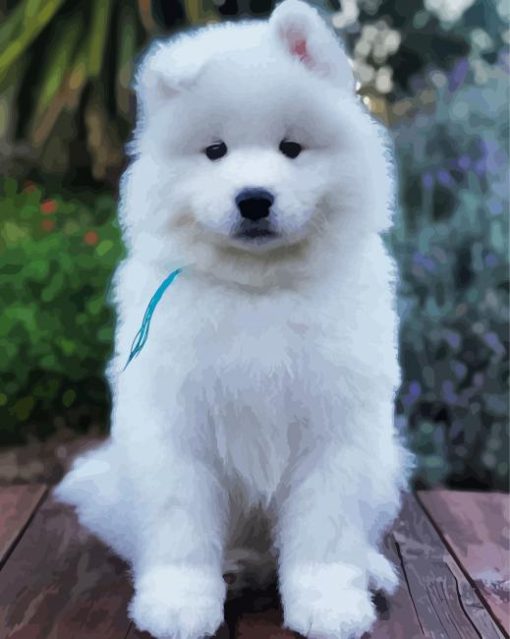 Aesthetic Samoyed paint by number