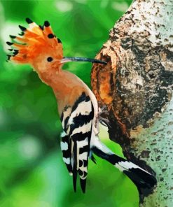 Aesthetic Woodpeckers paint by numbers