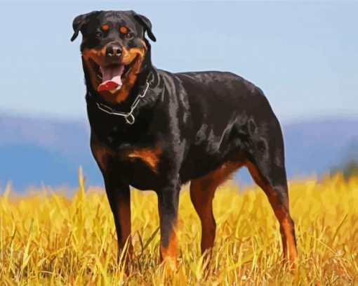 Aesthetic Black Rottweiler paint by numbers