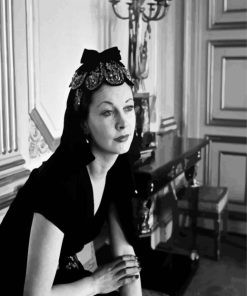 Aesthetic Monochrome Vivien Leigh paint by numbers