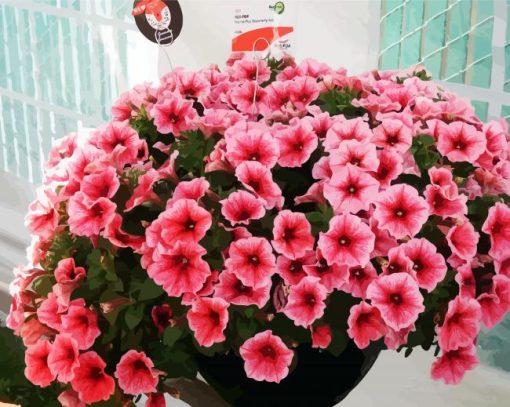 Aesthetic Pink Petunias paint by numbers