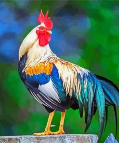 Aesthetic Rooster paint by number