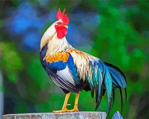 Aesthetic Rooster paint by number