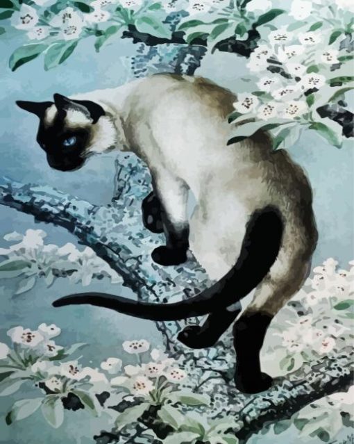 Aesthetic Siamese Art Cat paint by numbers