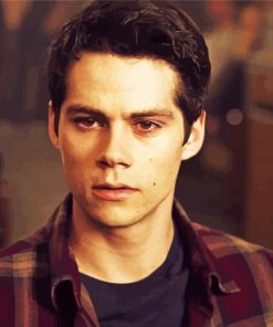 Aesthetic Stiles paint by numbers