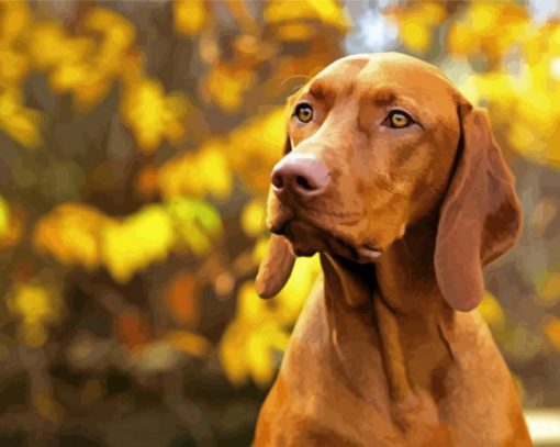 Aesthetic Vizsla paint by numbers