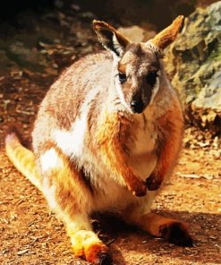 Aesthetic Wallaby paint by numbers