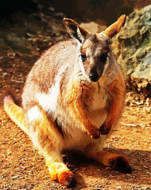 Aesthetic Wallaby paint by numbers