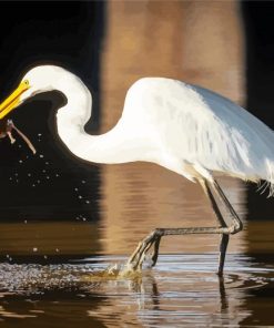 Aesthetic White Egret paint by number