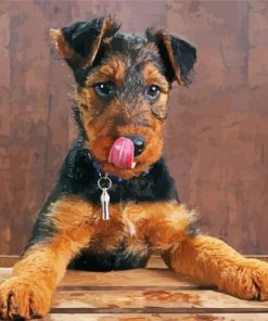 Airedale Terrier Dog paint by number