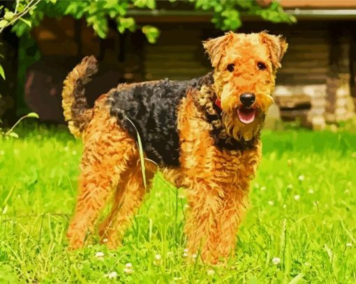 Airedale Terrier paint by number