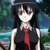 Anime Girl Akame Ga Kill paint by number