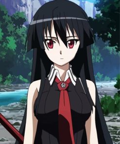 Anime Girl Akame Ga Kill paint by number