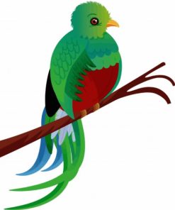 Art Quetzal Bird paint by numbers