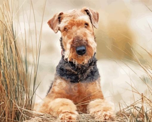 Beige Airedale Terrier paint by number