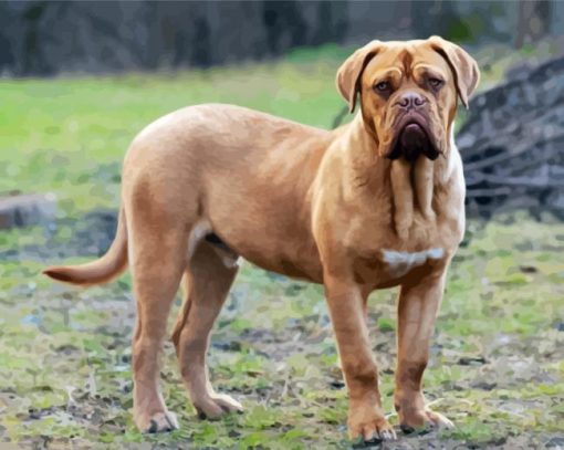 Beige Mastiff paint by numbers