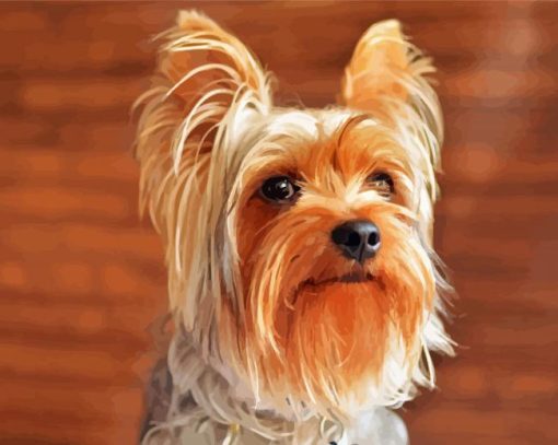 Beige And Brown Yorkshire Terrier paint by numbers