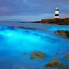 Bioluminescent Waves Anglesey paint by number