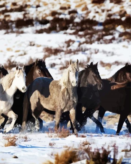 Black And White Brumby Flock paint by number