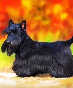 Black Scottish Terrier Puppy paint by number