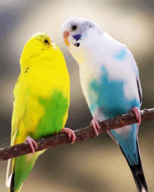 Blue And Green Budgerigars paint by numbers