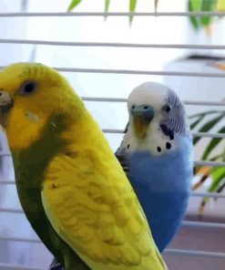 Blue And Yellow Budgerigars paint by number