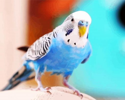 Blue Bird Budgerigar paint by number