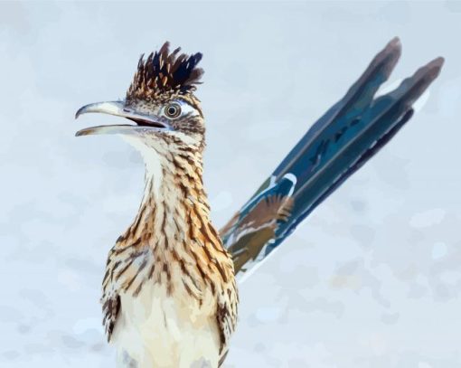 Blue Tailed Roadrunner paint by number