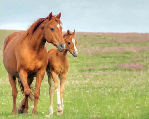 Brown Mares paint by numbers