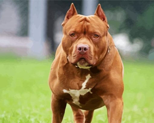 Brown Pitbull paint by numbers