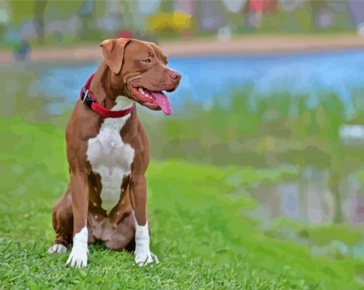 Brown Pitbull Pet paint by numbers