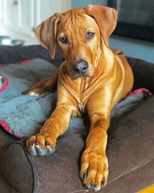 Brown Ridgeback Puppy paint by number