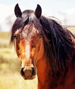 Brown Brumby Horse paint by numbers