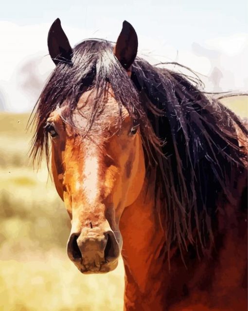 Brown Brumby Horse paint by numbers